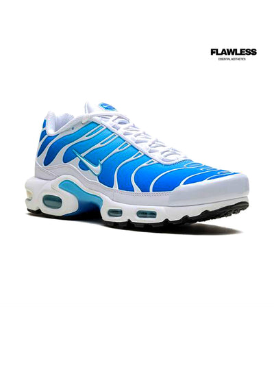 Nike Air Max Plus Tn "Blue Gaze"
