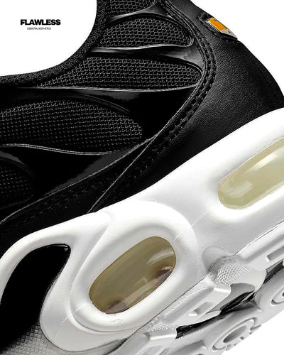 Nike Air Max Plus Tn "Black and White"