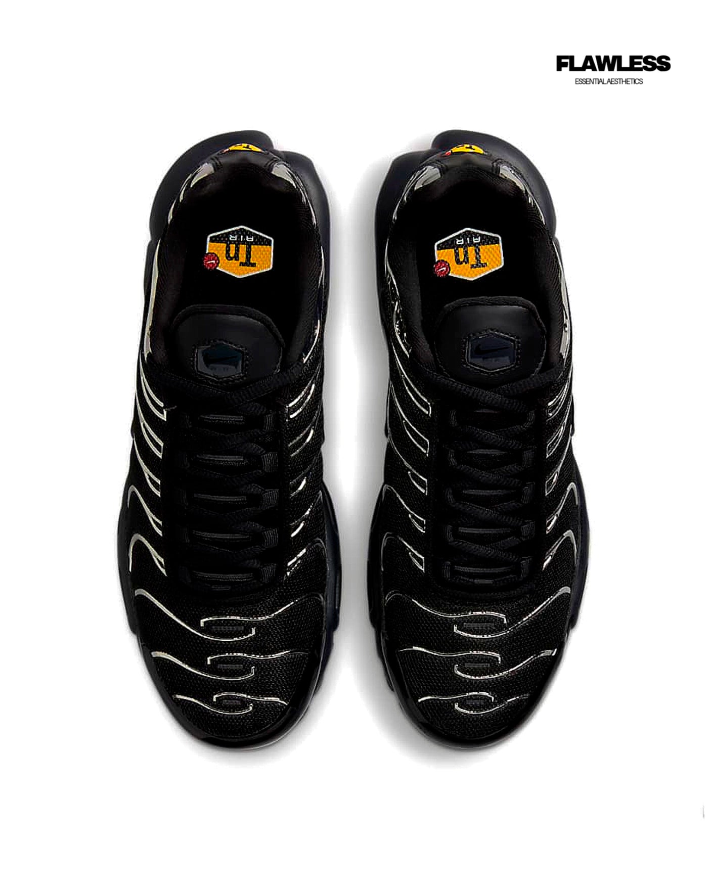 Nike Air Max Plus Tn "Black and Silver"
