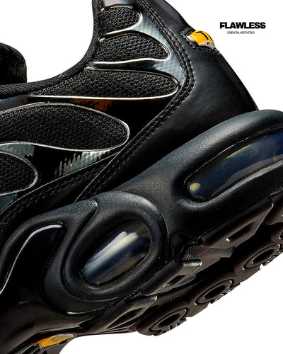 Nike Air Max Plus Tn "Black and Silver"