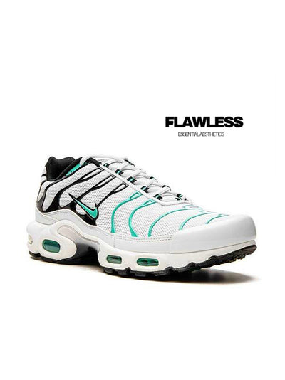 Air Max Plus "Atmos"