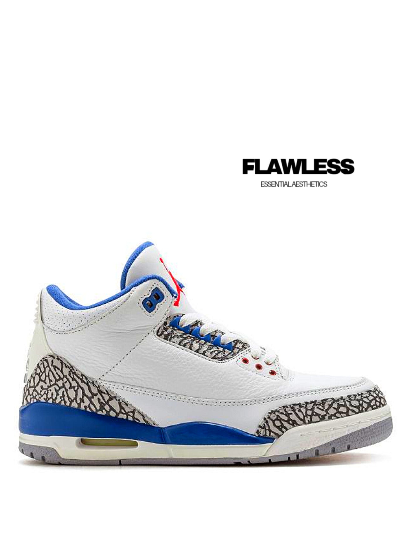 Air Jordan 3 "Wizards"